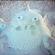 Illustration for article titled These geeky snowmen turn their yards into a weirder winter wonderland